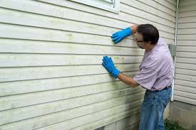 Best Custom Trim and Detailing for Siding  in Hettinger, ND